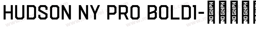 Hudson NY Pro Bold1字体转换